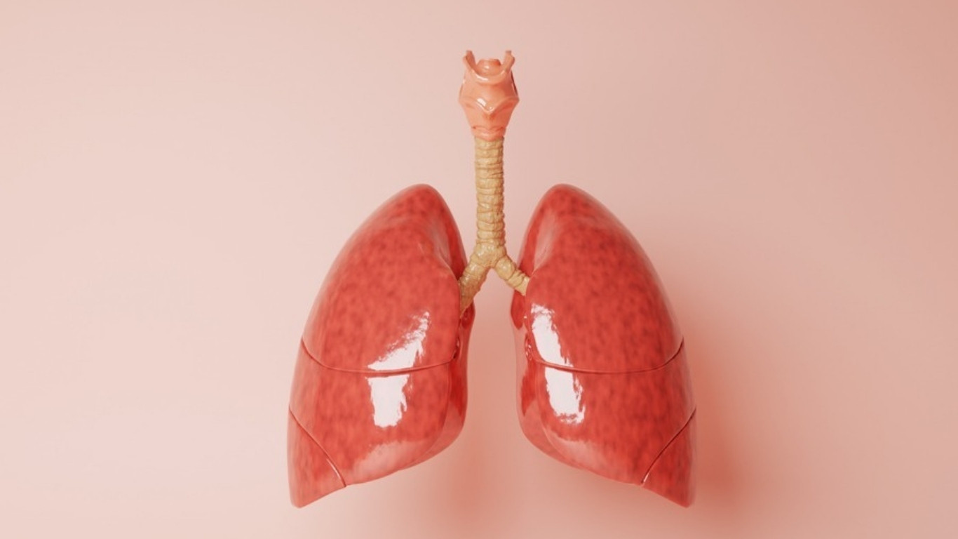 — Organs
